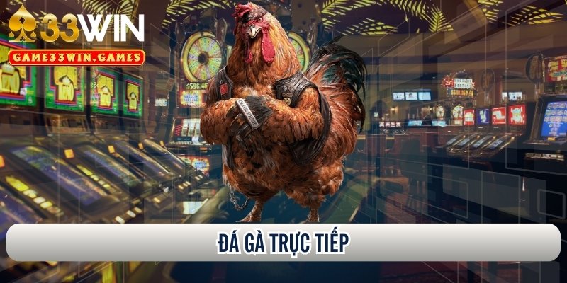 Đá gà trực tiếp